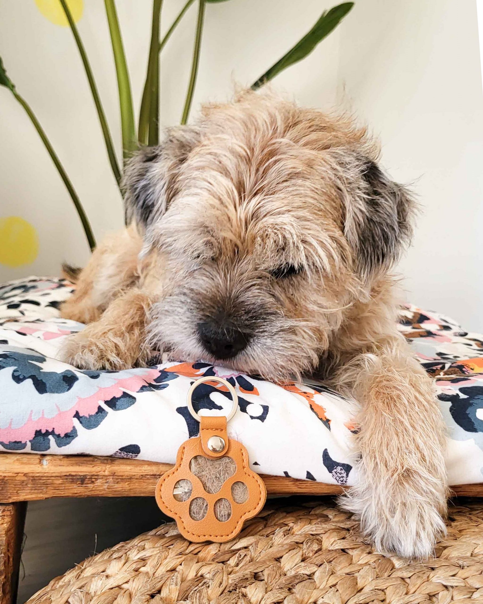 Karvatassu laukkukoriste / avaimenperä