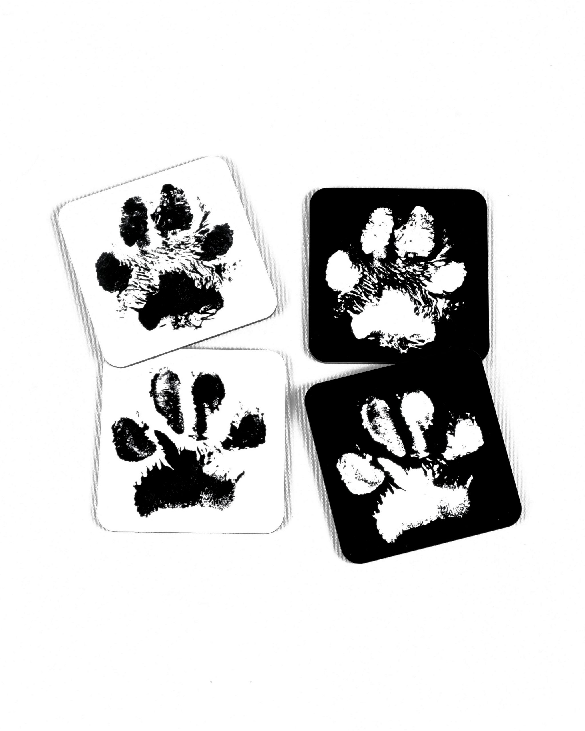 Tassulasinaluset (neljä) - Image 2