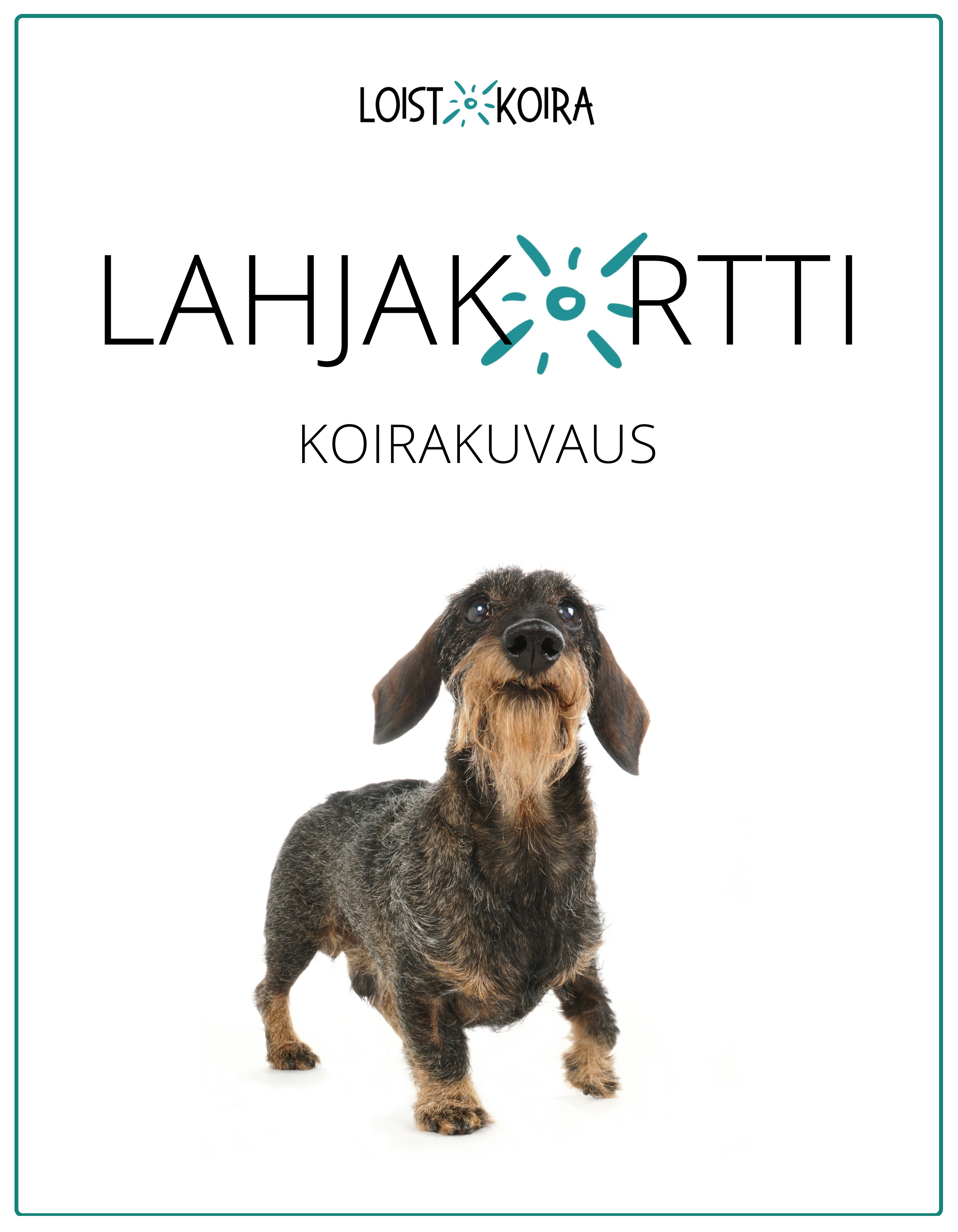 Lahjakortti (koirakuvaus)