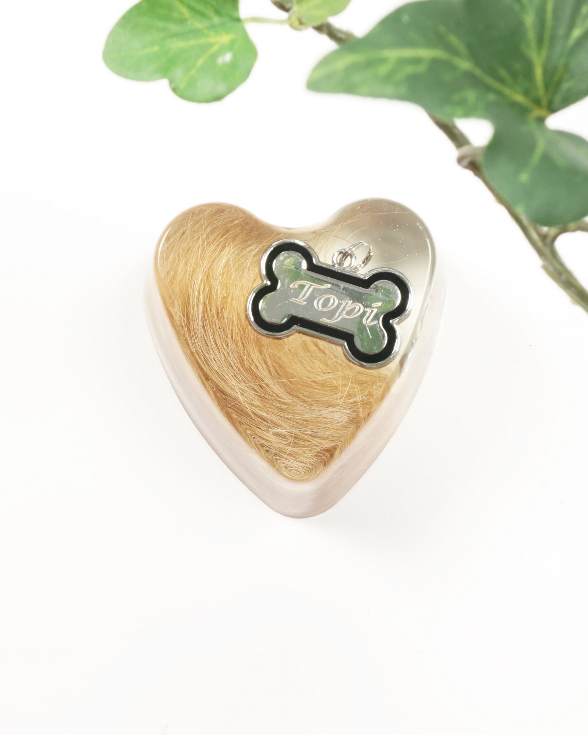 Pöytäkoru (karva) - Image 5