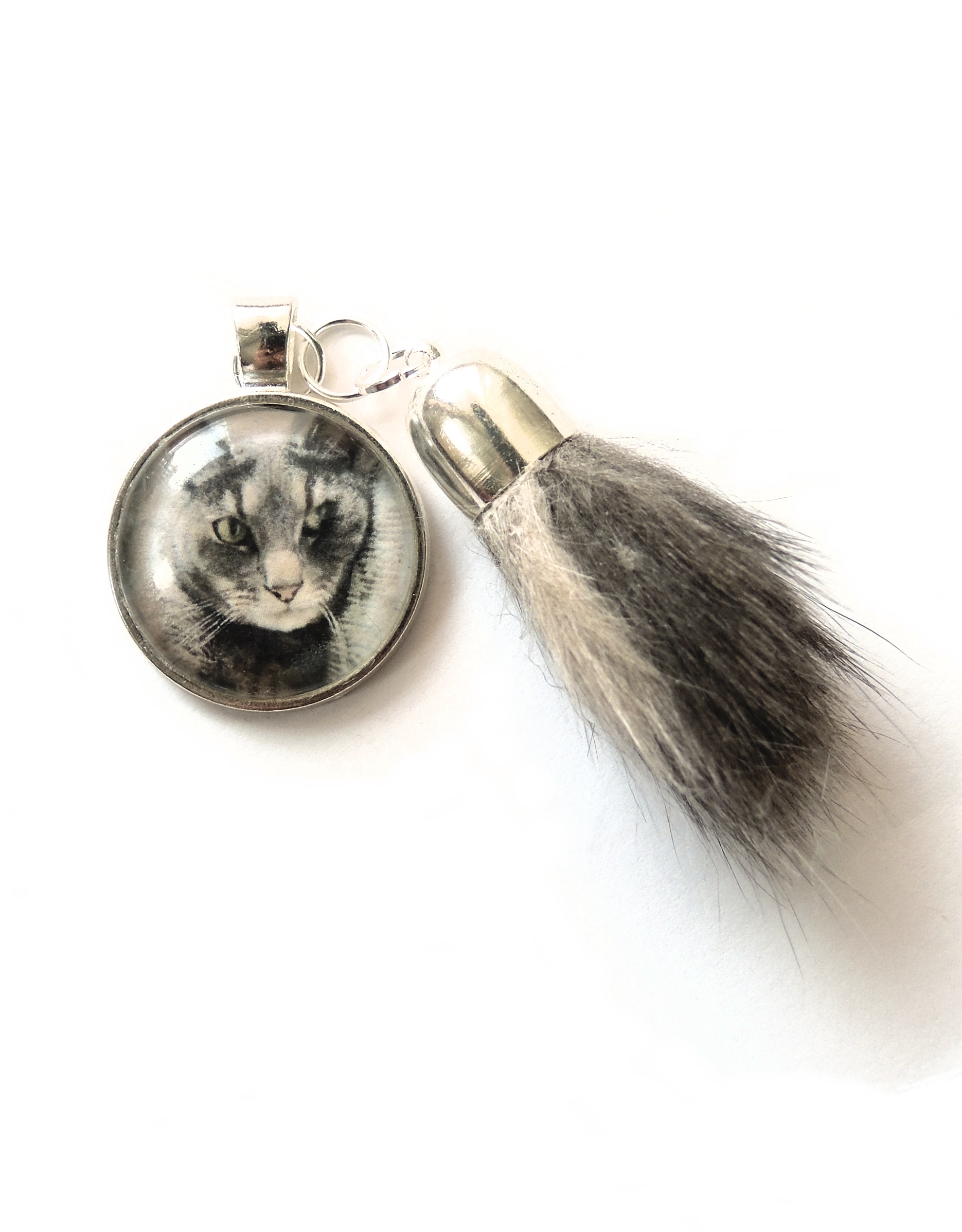 Lemmikkikoru (karva) - Image 9