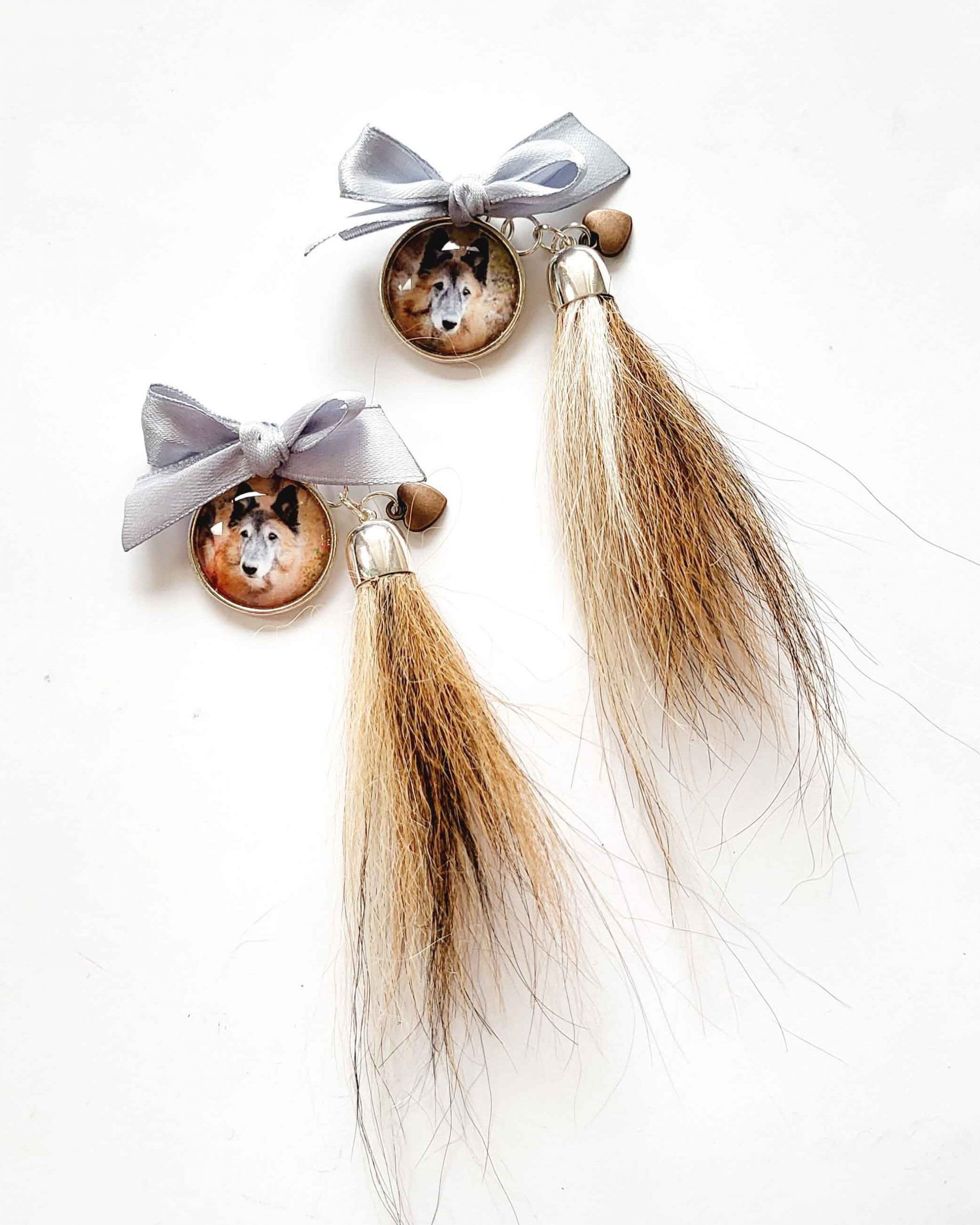 Lemmikkikoru (karva) - Image 6