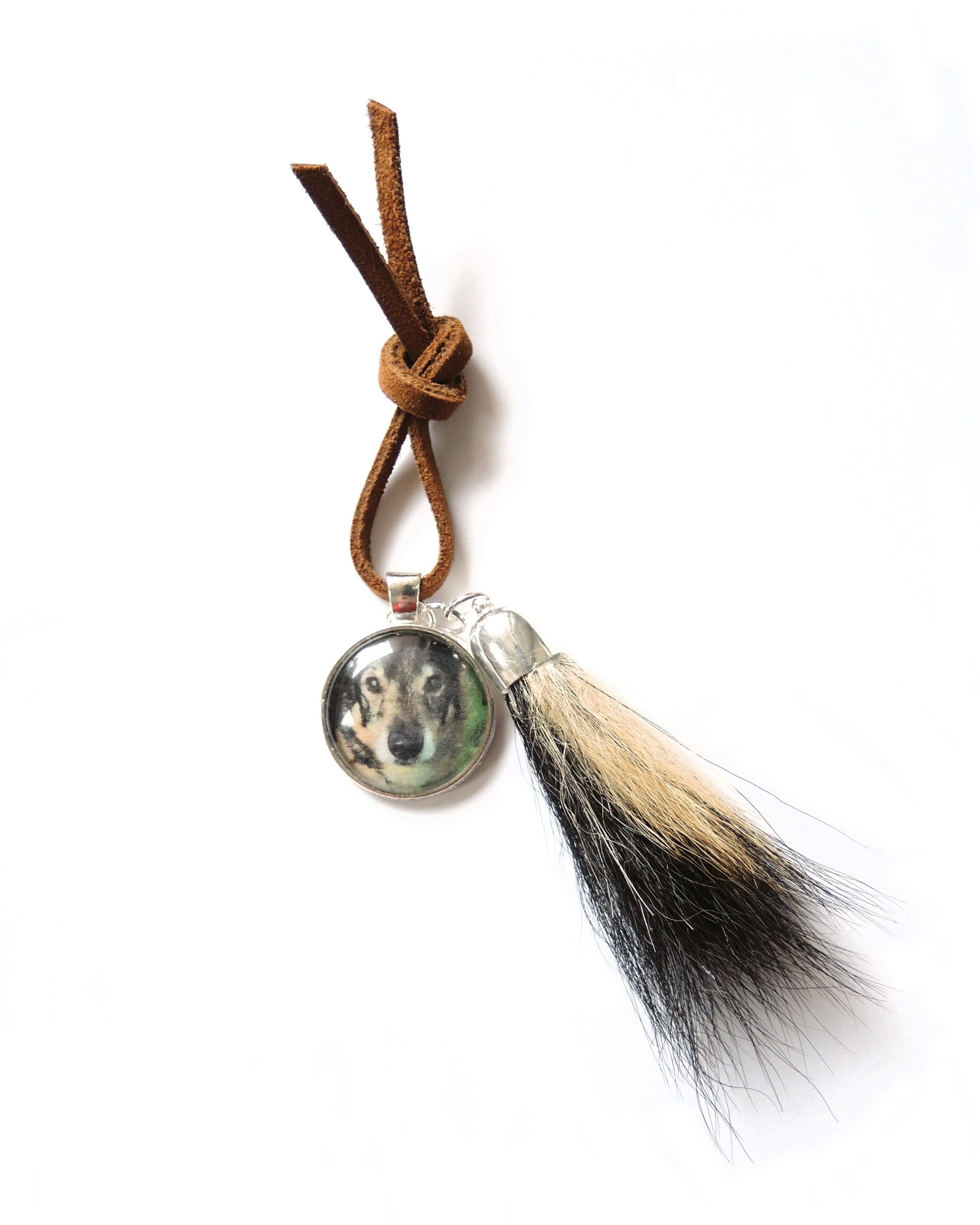 Lemmikkikoru (karva) - Image 8