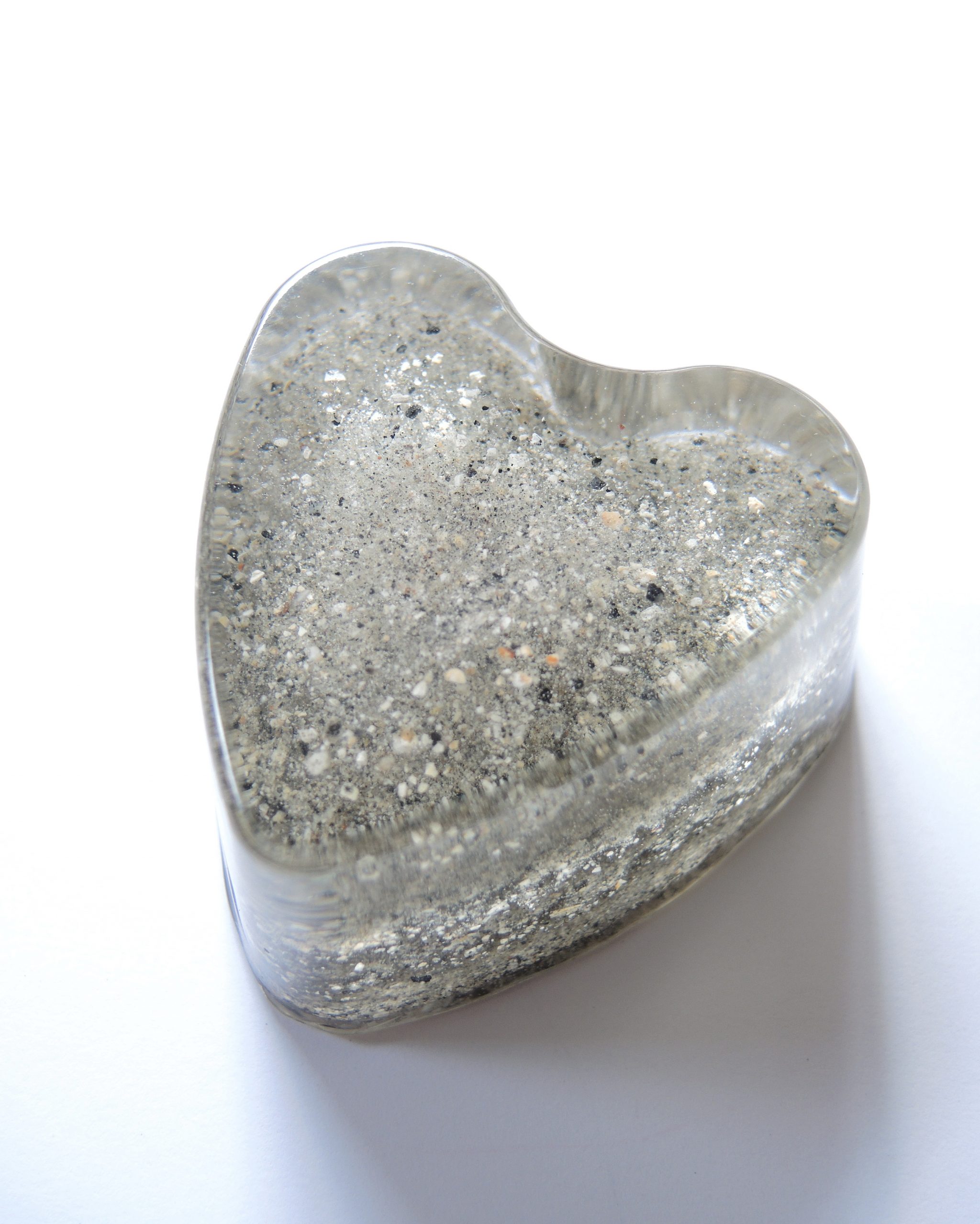 Pöytäkoru (tuhkasydän) - Image 3