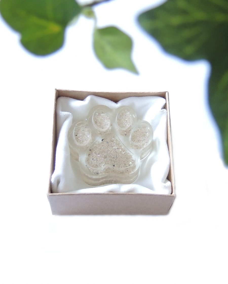 Pöytäkoru (tuhkatassu) - Image 6