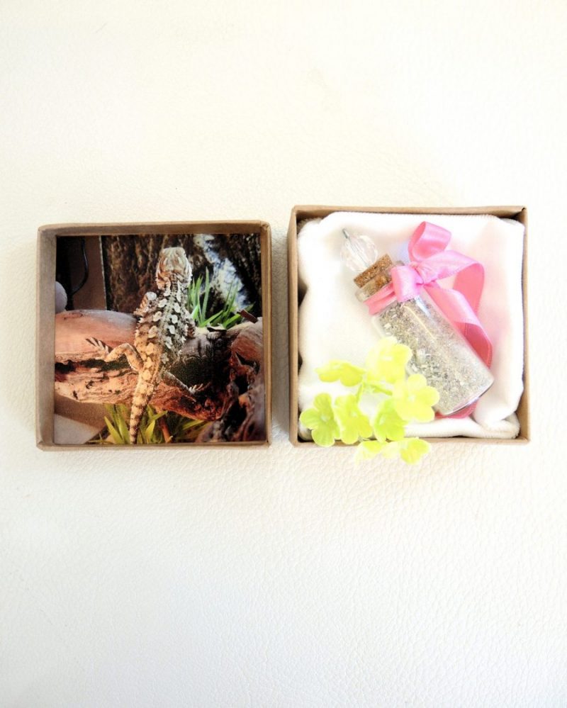 Lasiuurna (tuhka) - Image 3