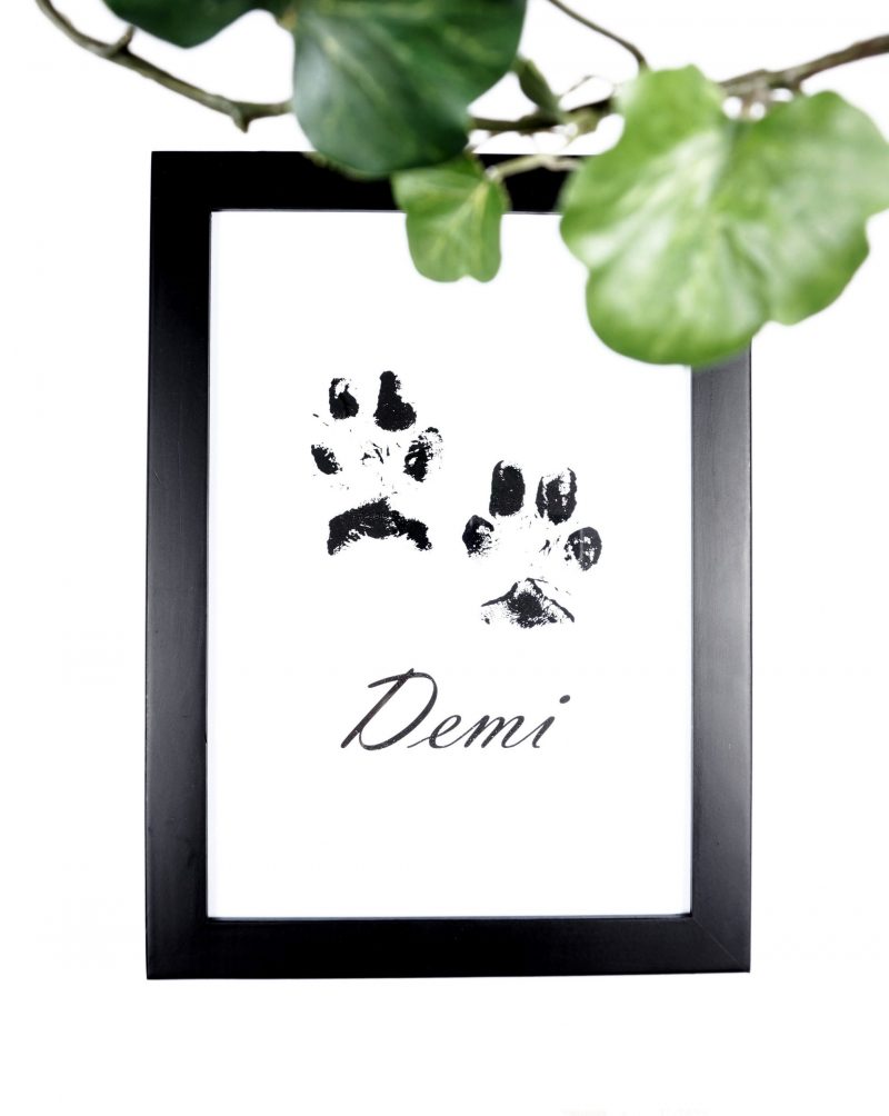 Tassutaulu - Image 4