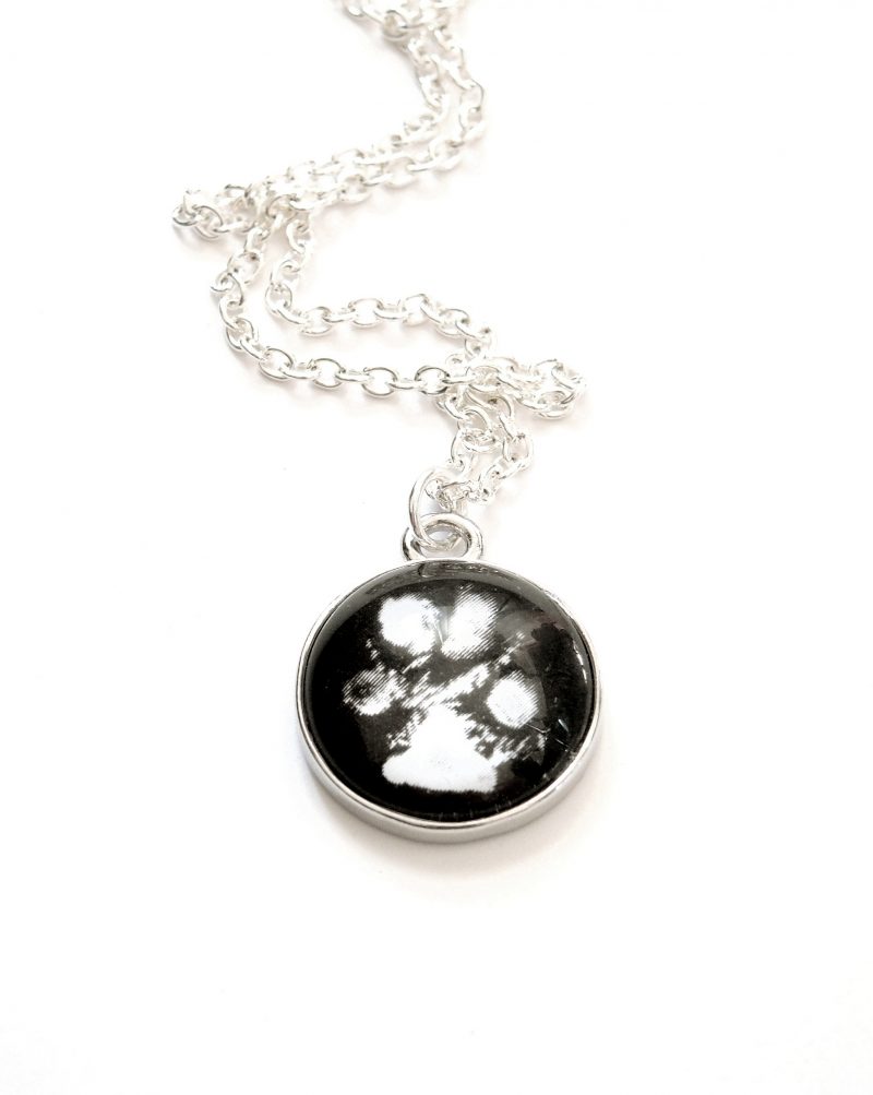 Lahjakortti (tassupainatus + tassutuote) - Image 6