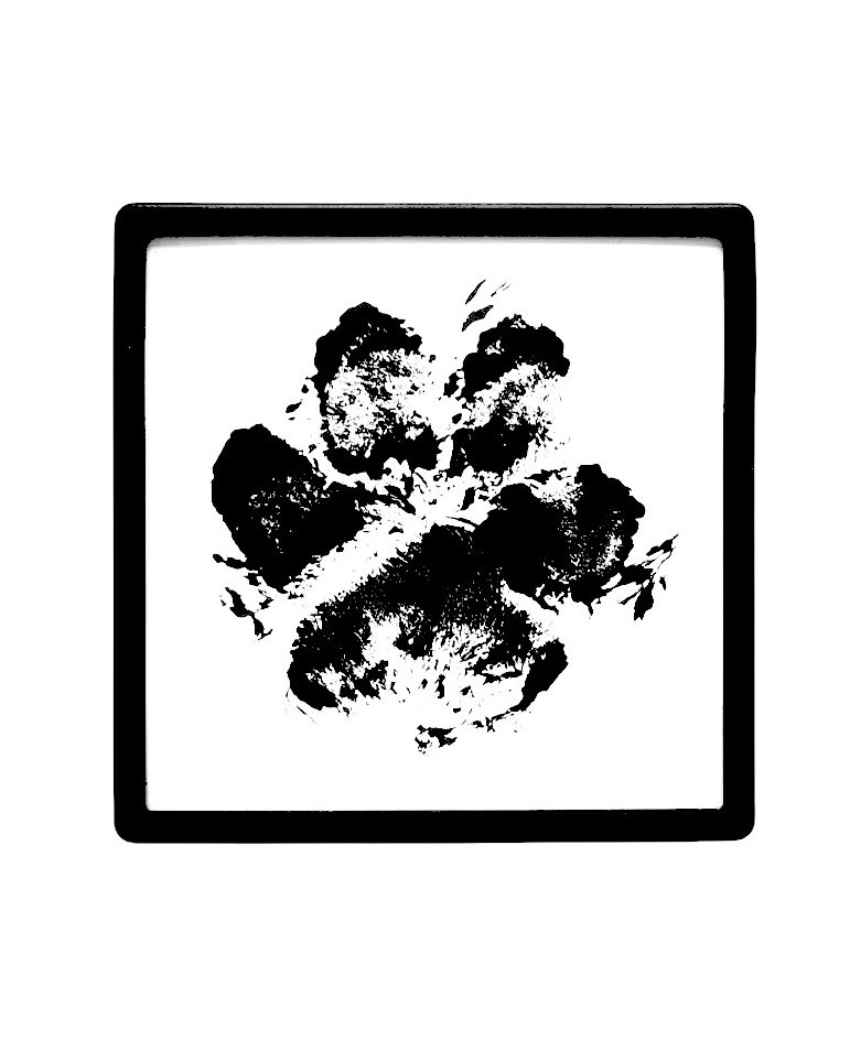 Tassumagneetti - Image 6