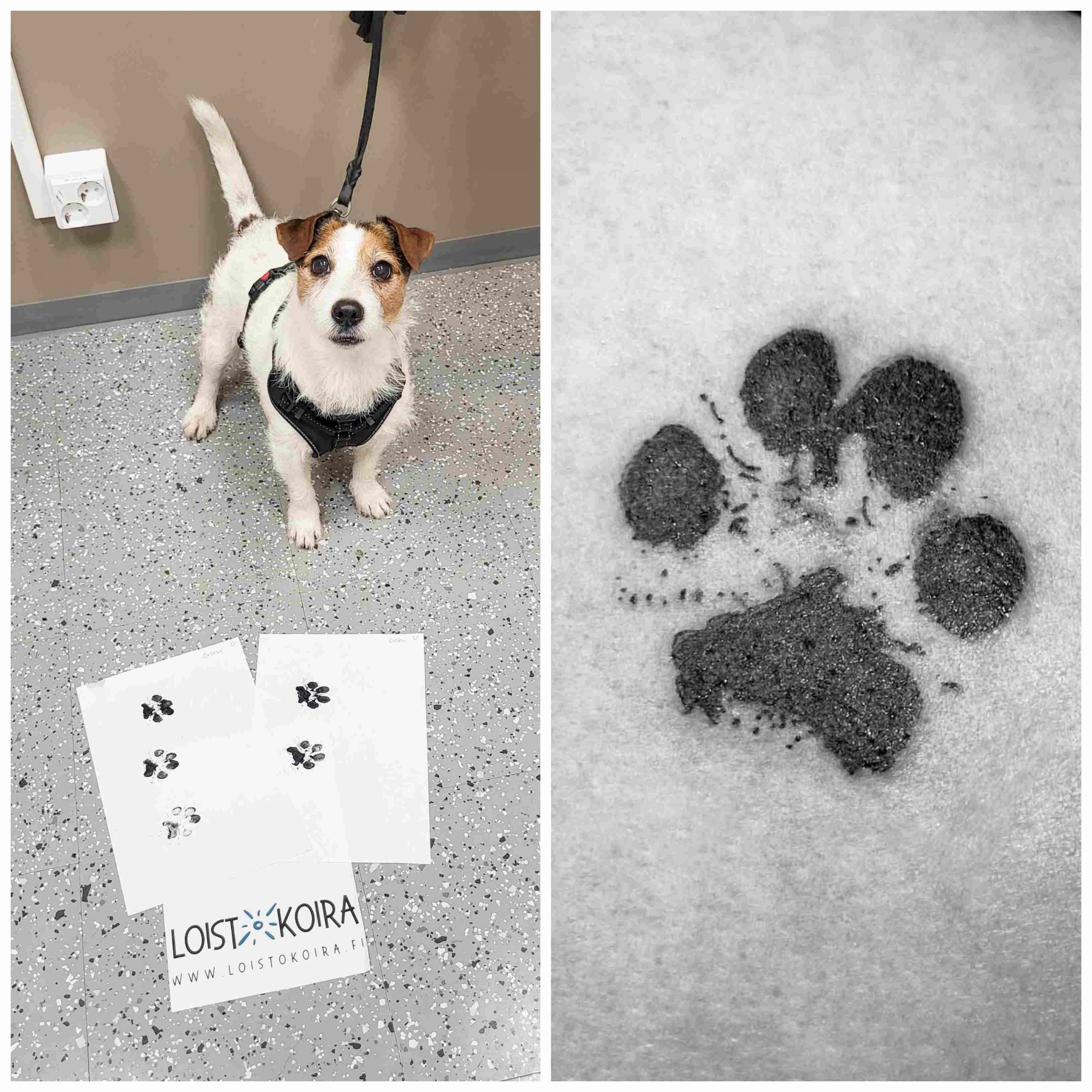 Tassupainatus-setti - Image 4