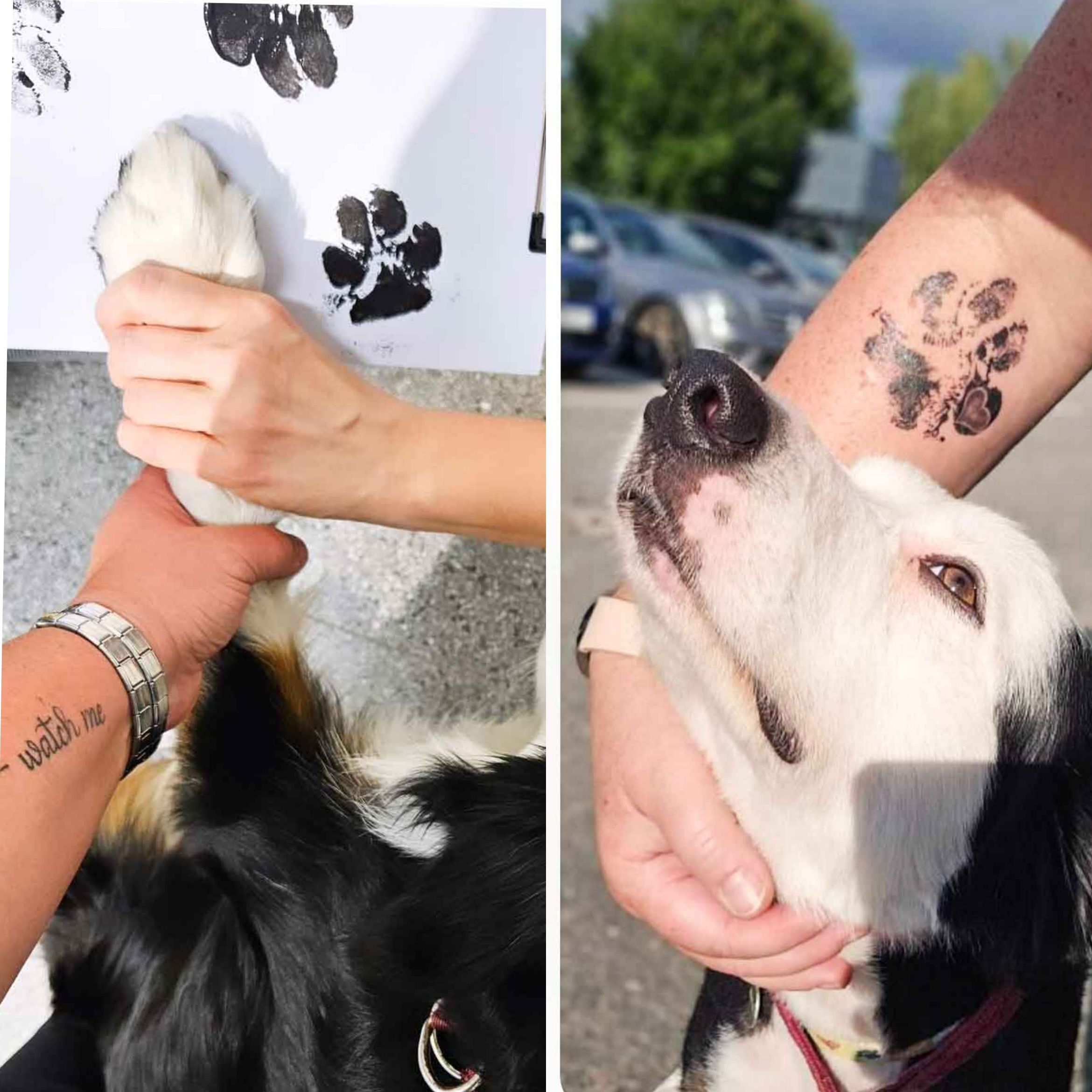 Tassupainatus-setti - Image 3