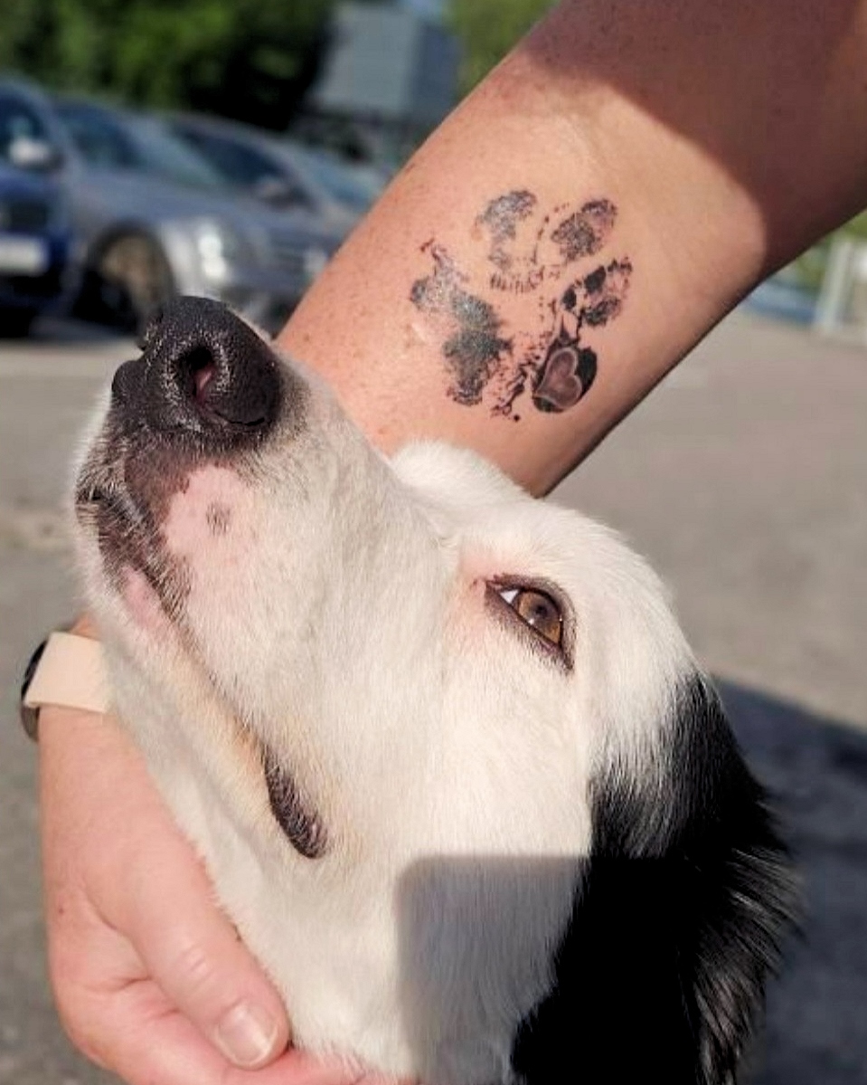 Lahjakortti (tassupainatus + tassutuote) - Image 19