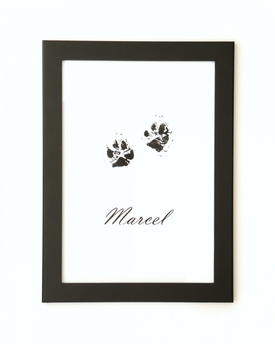 Lahjakortti (tassupainatus + tassutuote) - Image 4