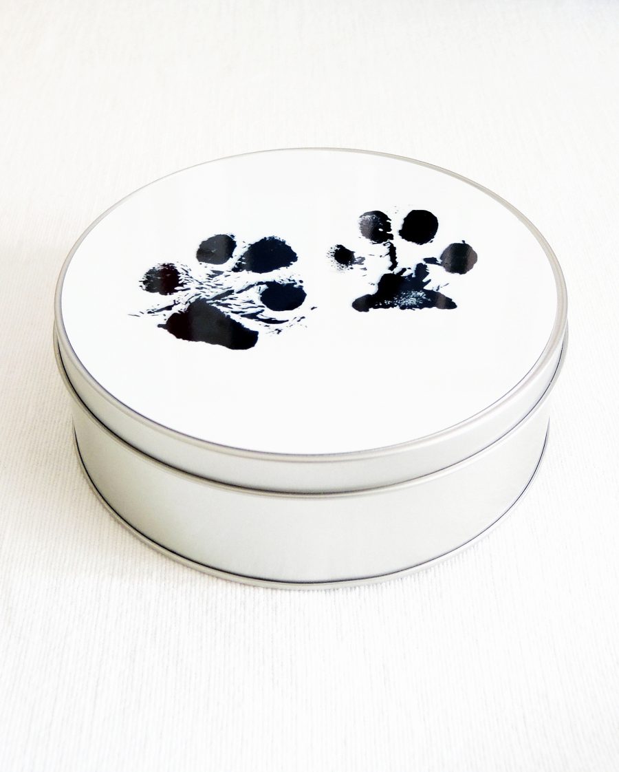 Tassurasia - Image 5