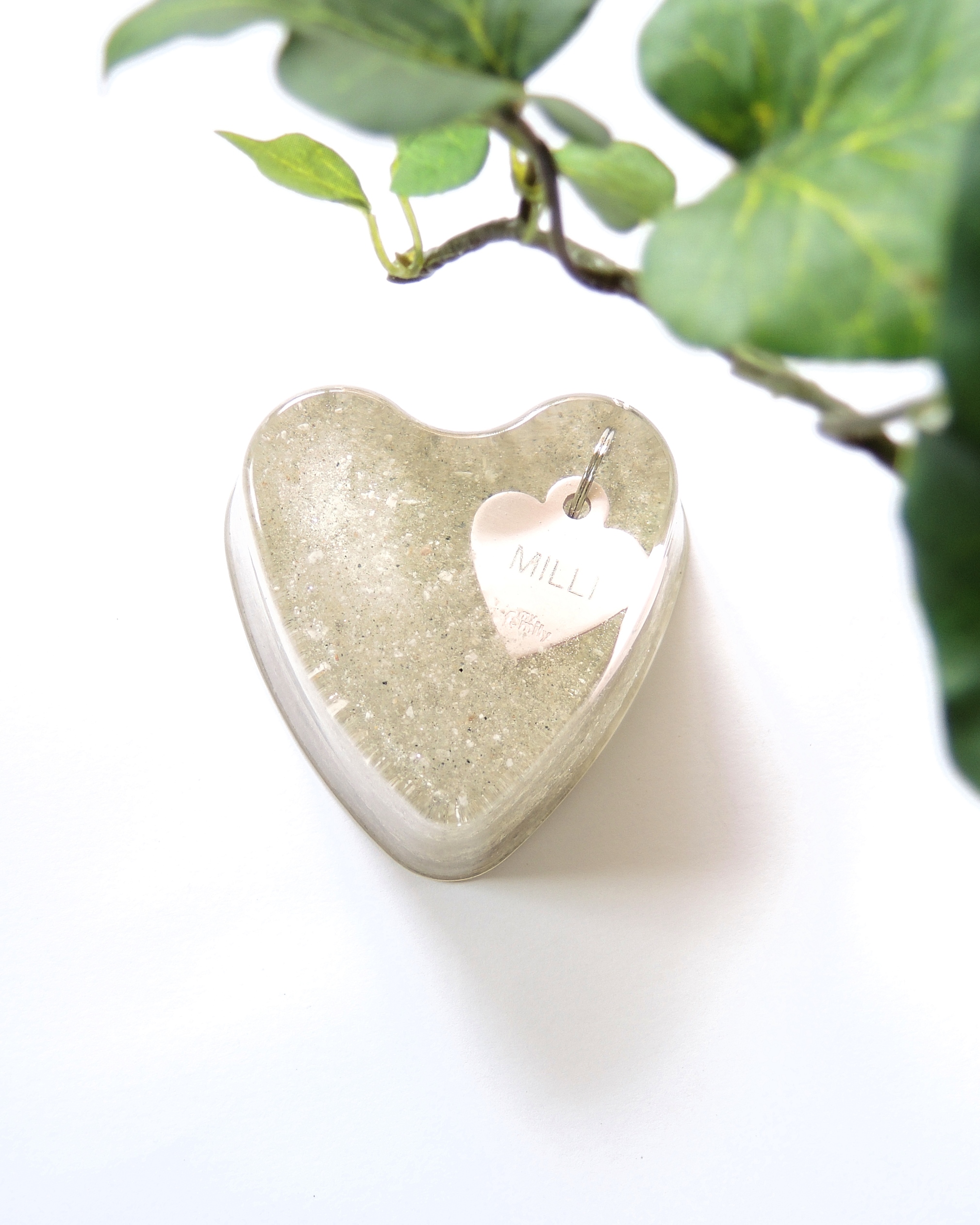 Pöytäkoru (tuhkasydän) - Image 5