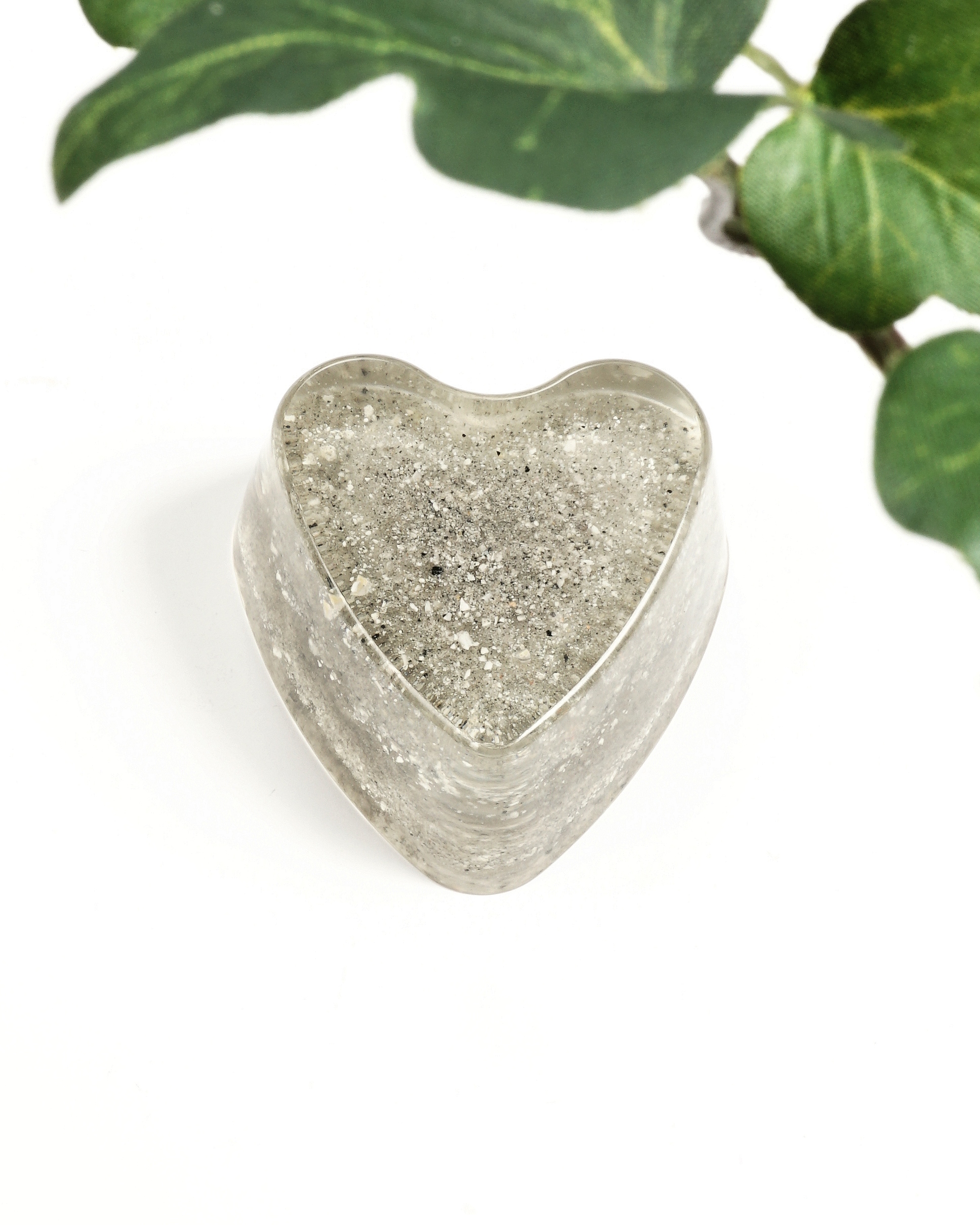 Pöytäkoru (tuhkasydän) - Image 6