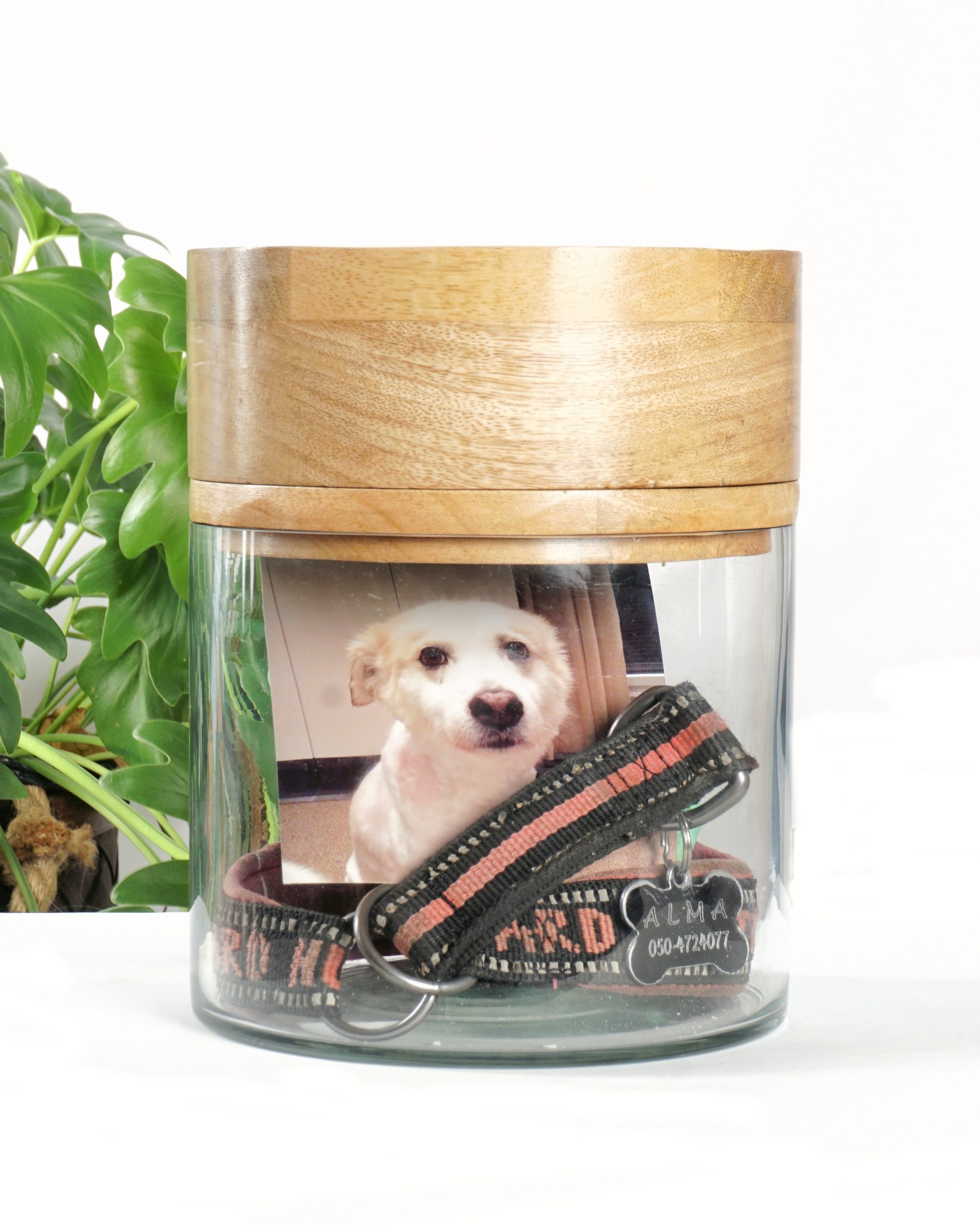 Muistouurna - Image 2